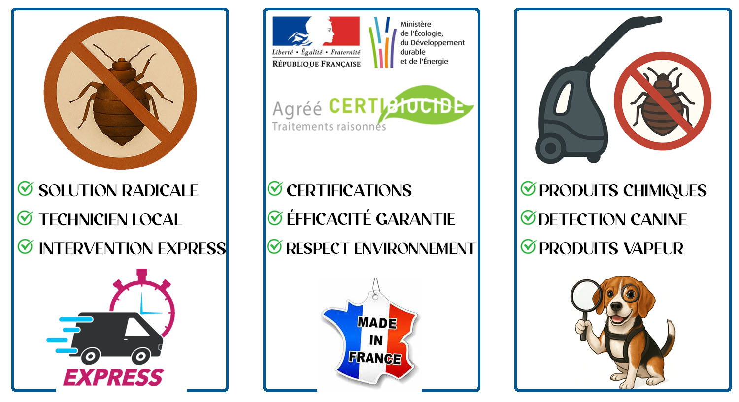 Punaises de Lit Sevres