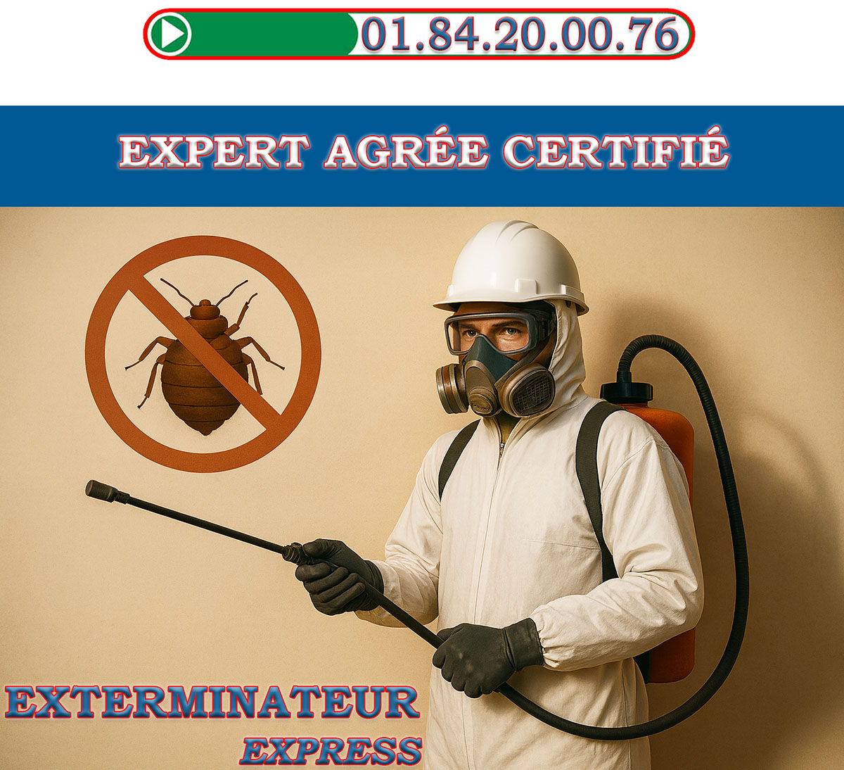 Punaises de Lit Sevres